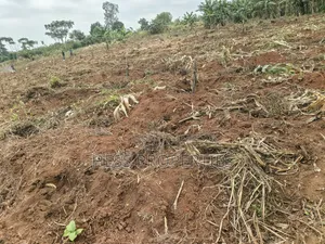 1.8acres of Agricultural Land on Sale in Kyenjojo District