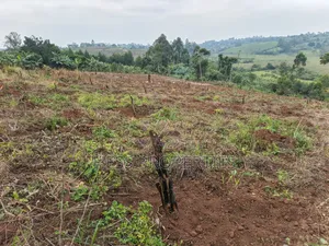 1.8acres of Agricultural Land on Sale in Kyenjojo District
