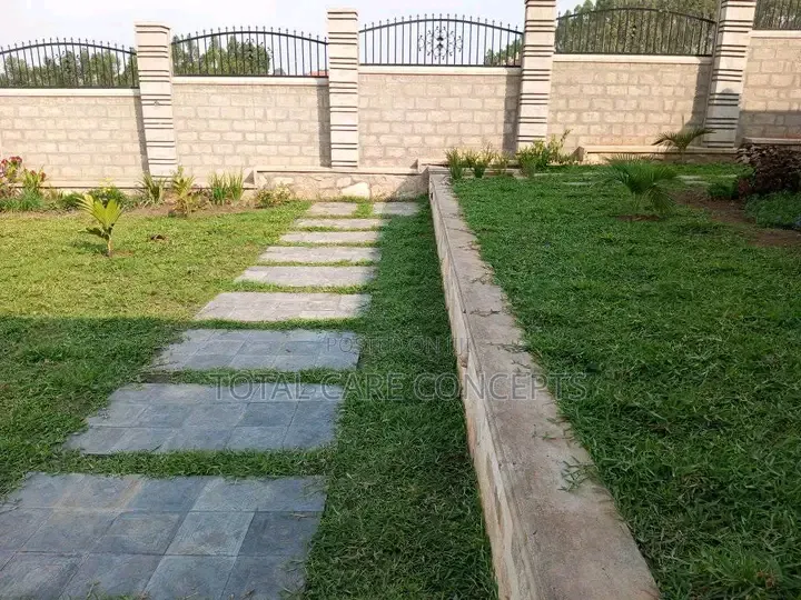 Landscaping Designs and Best Gardening Concepts