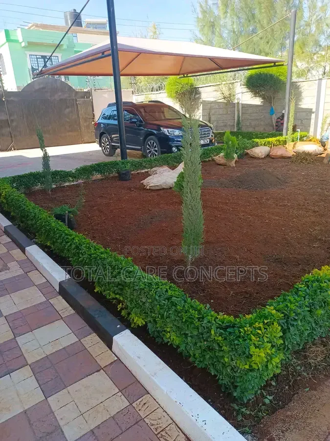 Landscaping Designs and Best Gardening Concepts