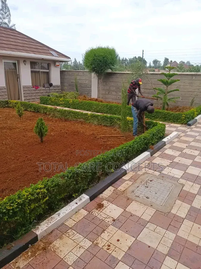 Landscaping Designs and Best Gardening Concepts
