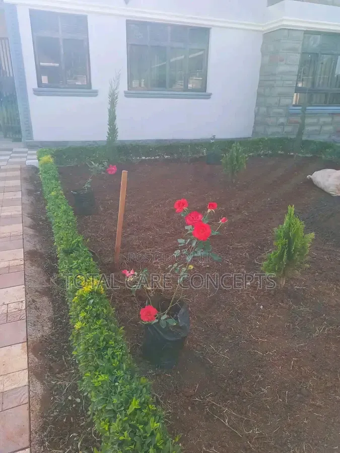 Landscaping Designs and Best Gardening Concepts