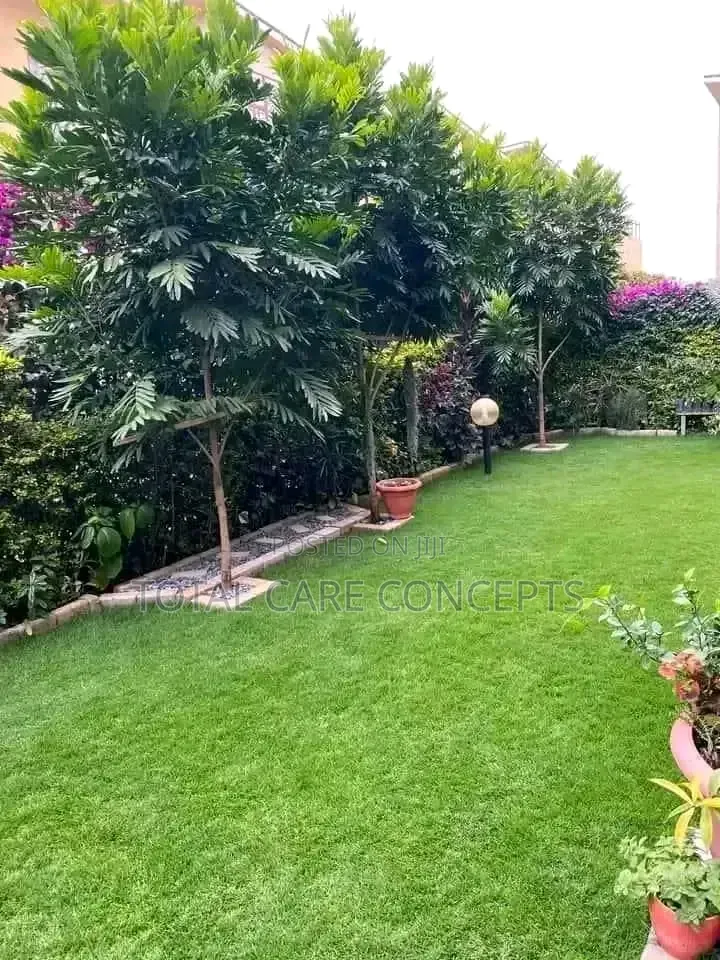 Landscaping Designs and Best Gardening Concepts