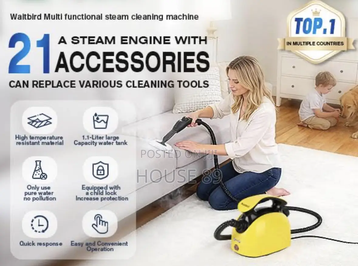 DF Multi-Purpose Steam Cleaner