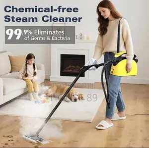 DF Multi-Purpose Steam Cleaner
