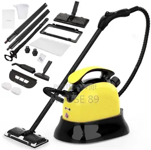 DF Multi-Purpose Steam Cleaner