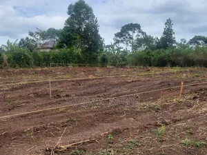 Plots for Sale Starting From 3.5m U Could Get 50by50