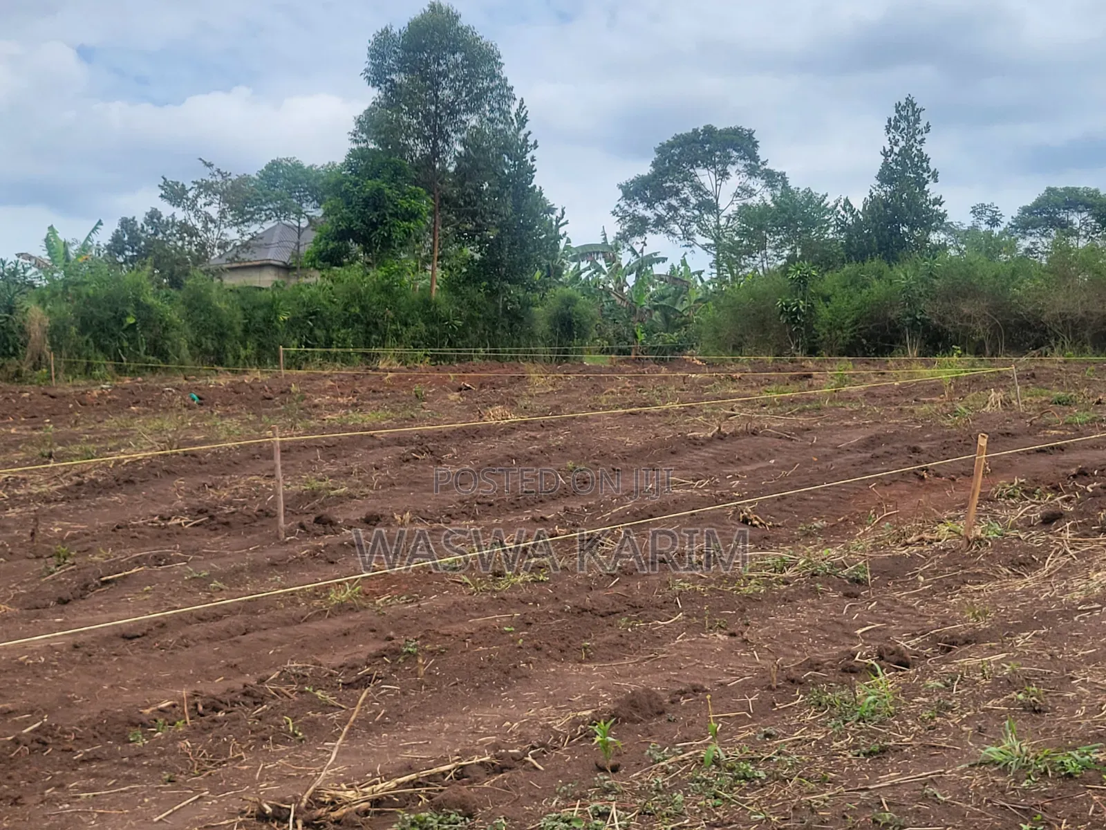 Plots for Sale Starting From 3.5m U Could Get 50by50