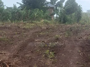 Plots for Sale Starting From 3.5m U Could Get 50by50