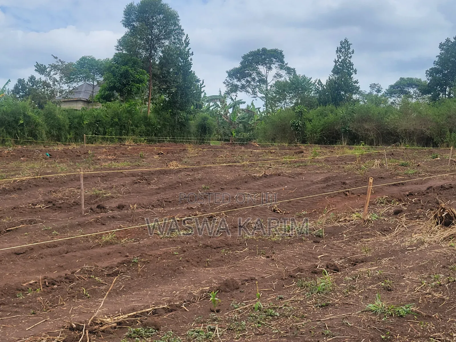 Plots for Sale Starting From 3.5m U Could Get 50by50