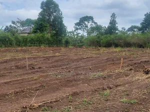 Plots for Sale Starting From 3.5m U Could Get 50by50