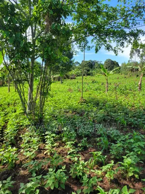 Farmland for Sale Half an Acre at 15m