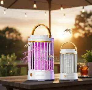 Rechargeable Indoor Electric Fly Catcher and Mosquito Repellent Lamp