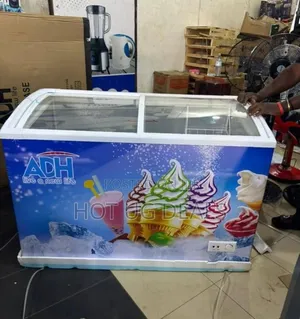 ADH 500L Showcase Display Freezer Built for Ice Cream Freezer