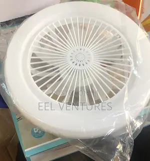 Fan Bulb for Sitting Room