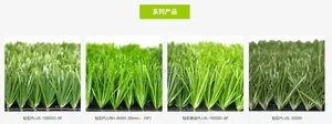 Grass Carpets