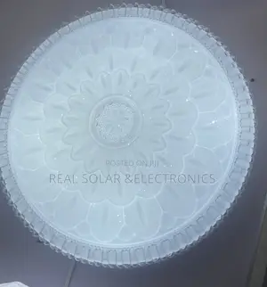 48w Ceiling Light