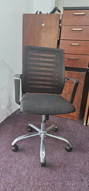Simple Home Use Office Chair