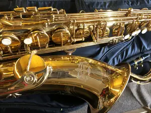 Tenor Saxophone USA Flamingo