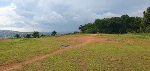 Kasenge Nakirama