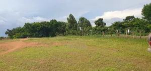 Kasenge Nakirama