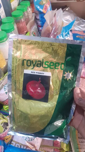 Onion Seed Hybrid Red Pinnoy 250gms/Half Acre