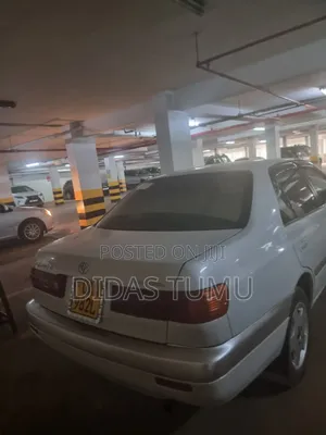 Toyota Premio 2001 White