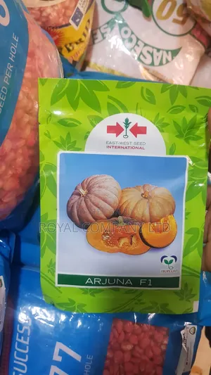 F1 Pumpkin Seeds (50seed)