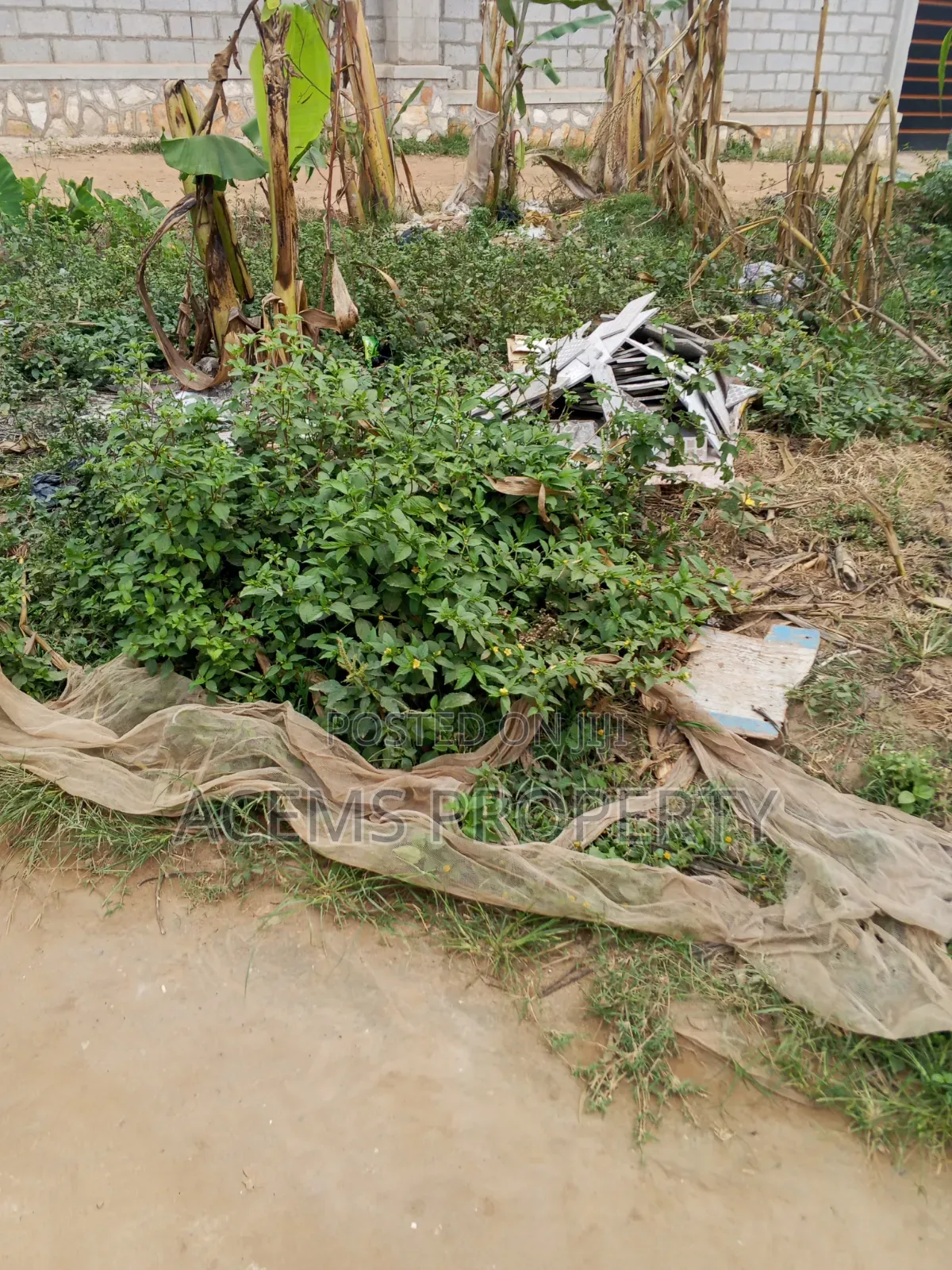 Plots for Sale