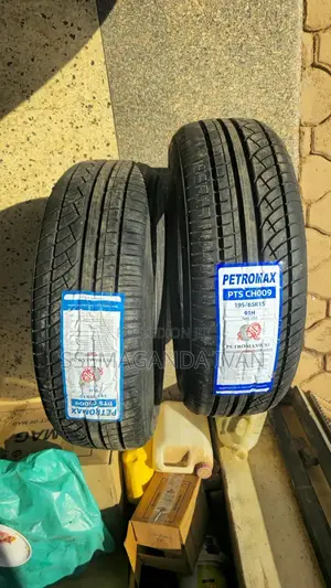 195/65r15 91h Original Petromax Tyres