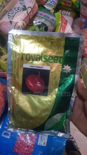Onion Seed Hybrid Red Pinnoy 250gms/Half Acre
