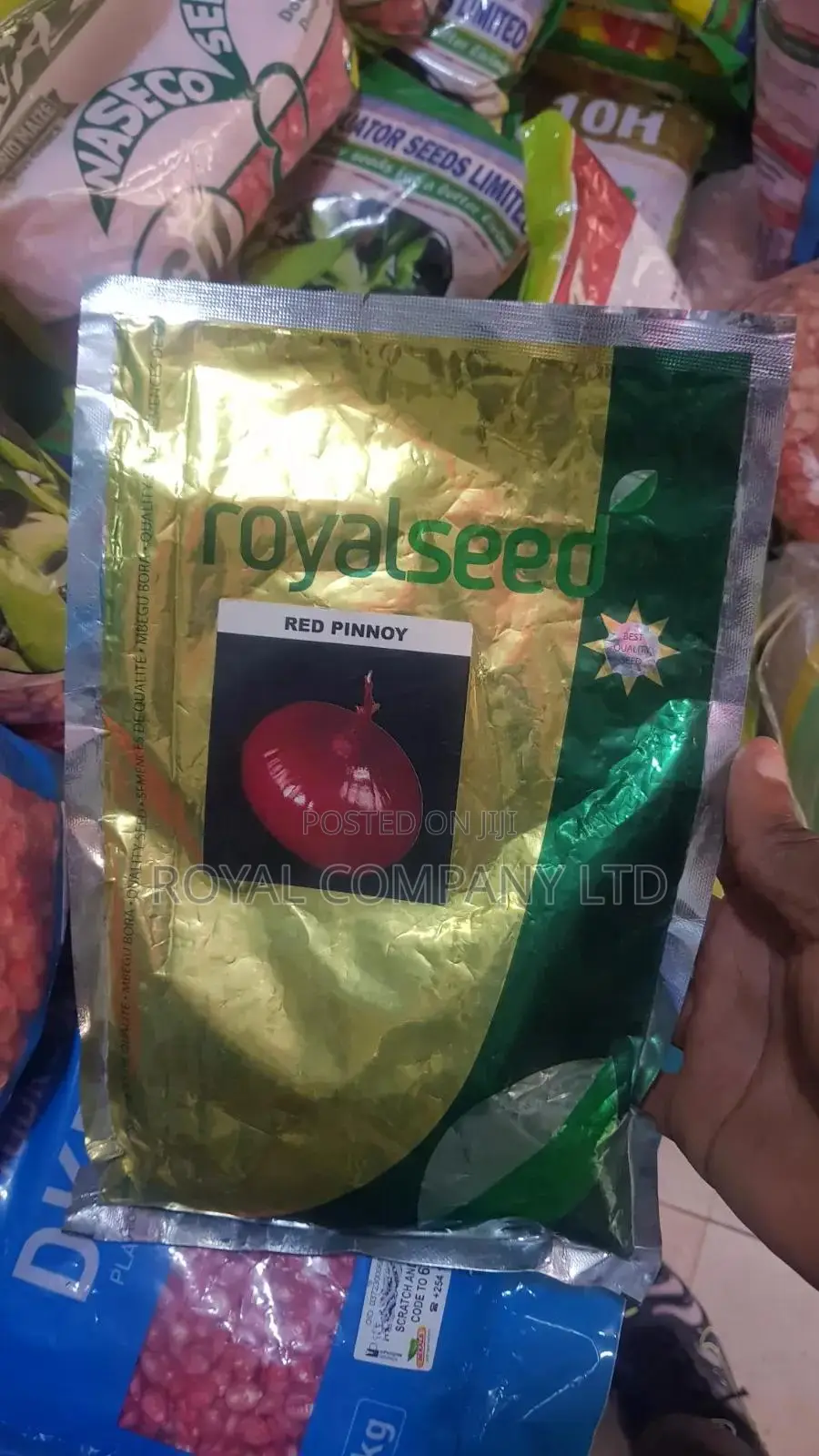 Onion Seed Hybrid Red Pinnoy 250gms/Half Acre