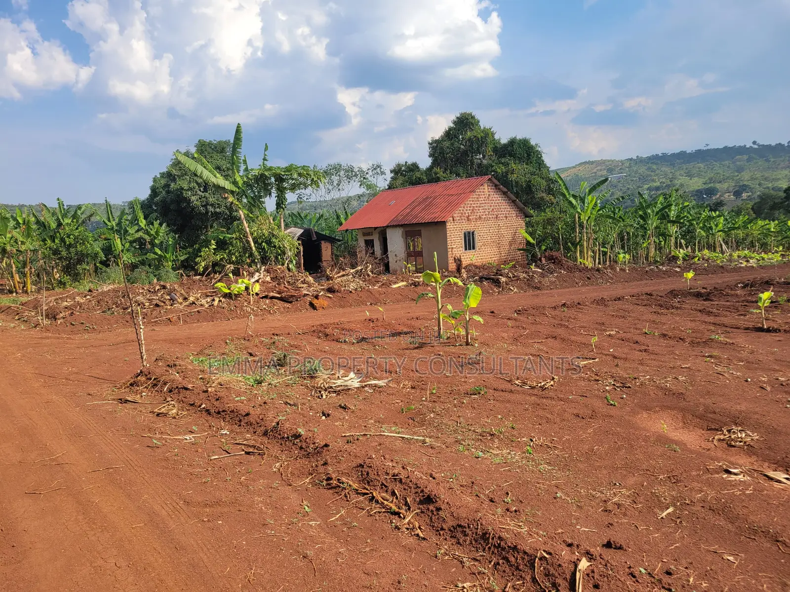 *Namayumba-Kyasa Estate 100by50fts at 8m-10m Private Mailoland Title*