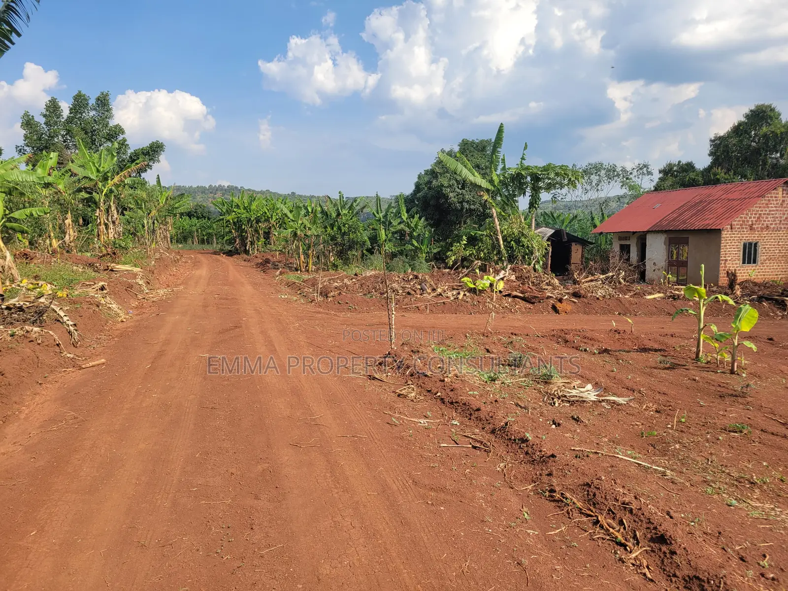 *Namayumba-Kyasa Estate 100by50fts at 8m-10m Private Mailoland Title*