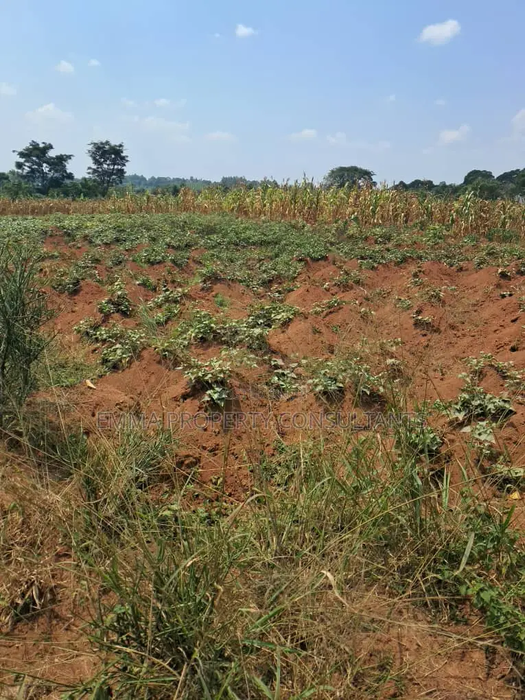 *Namayumba-Busamba Roadside Estate 100by50fts at 9m and Above With a M