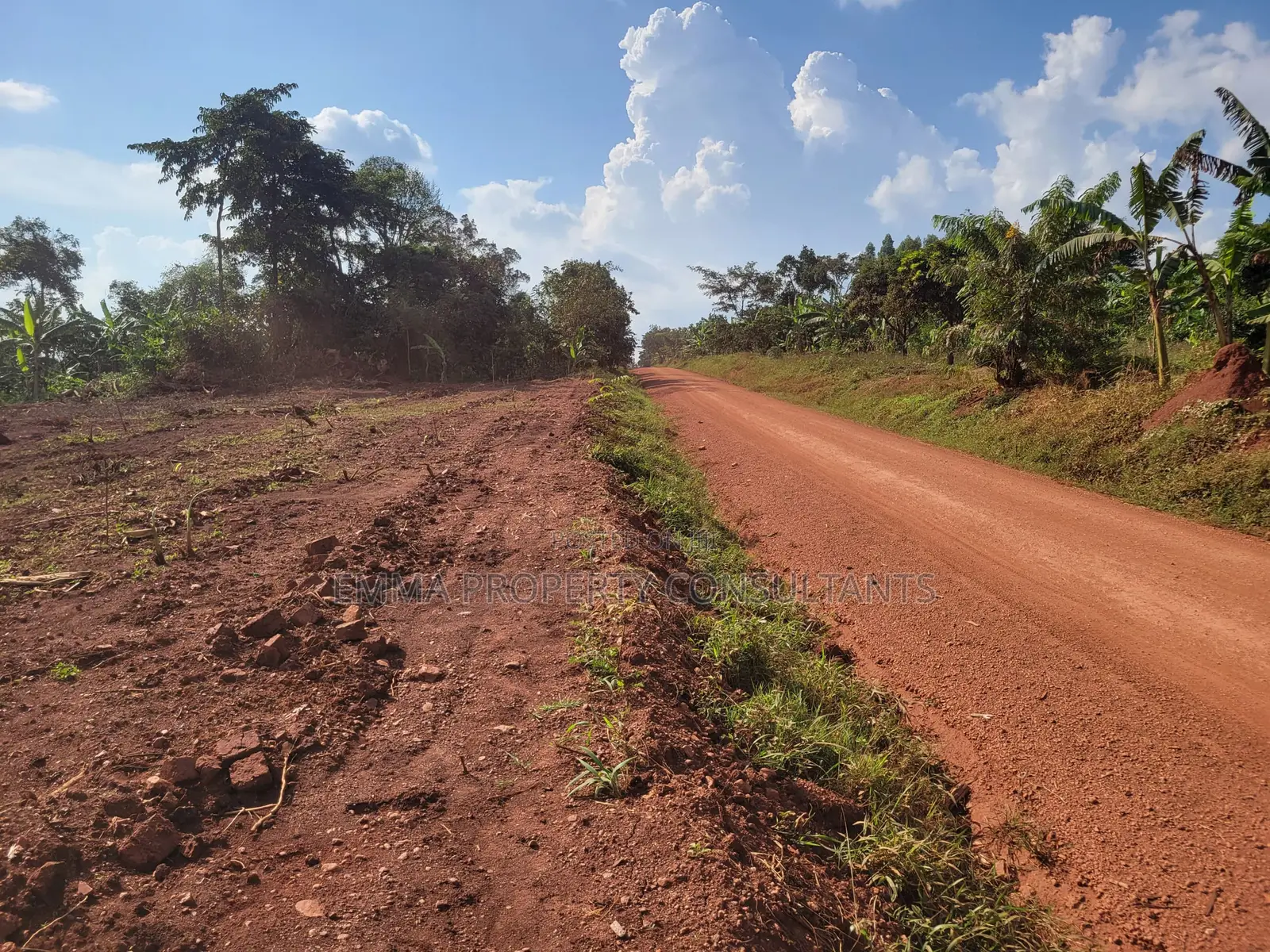 *Namayumba-Busamba Roadside Estate 100by50fts at 9m and Above With a M