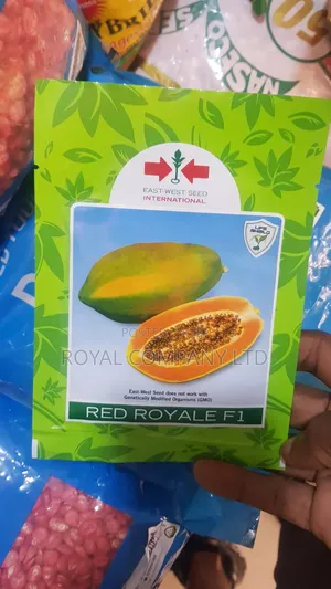 Papaya Seed Red Royale F1 Hybrid 10pcs(papali)