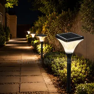 800W Solar Garden Light With Remote Control | Bright Outdoor LED