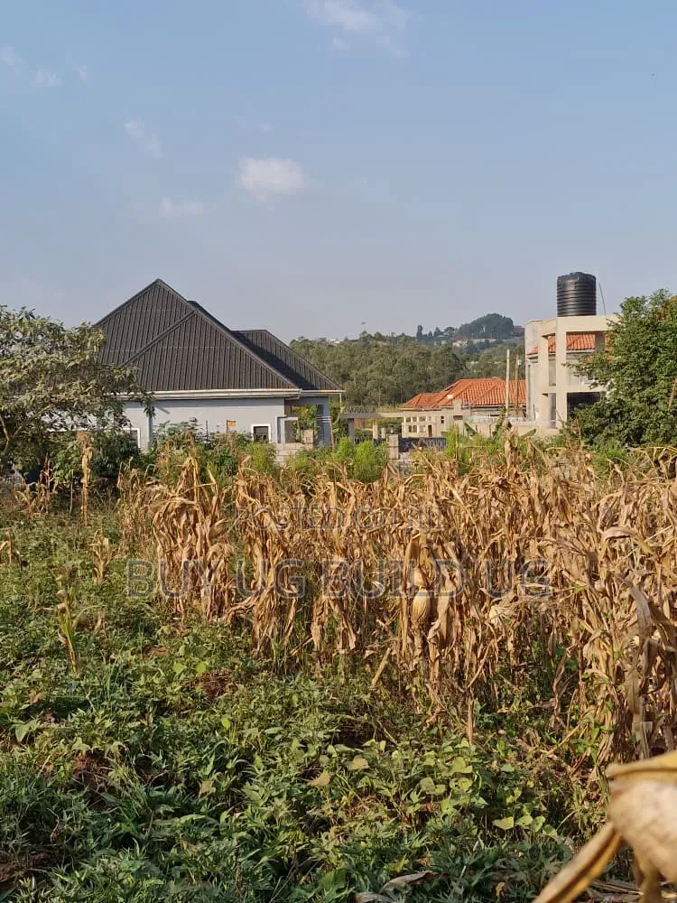 50ft by 100 Ft for Sale in Kira Nsasa Road at 85m
