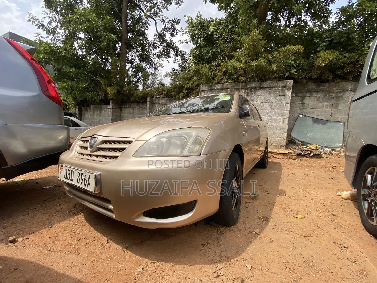 Toyota Allex 2008 Gold