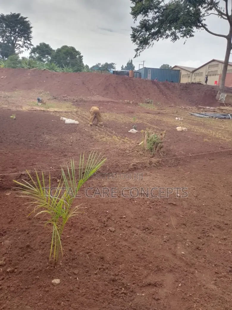 Best Gardening and Planting Services You Need