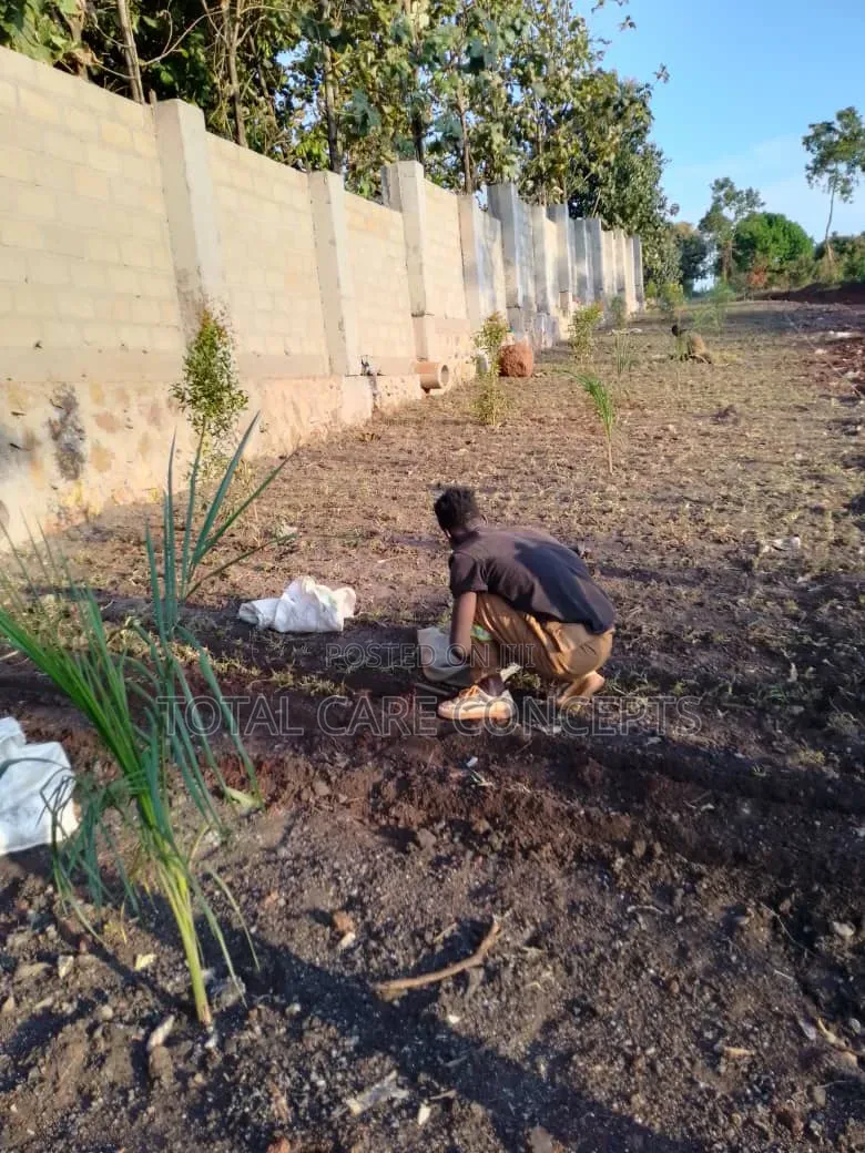 Best Gardening and Planting Services You Need