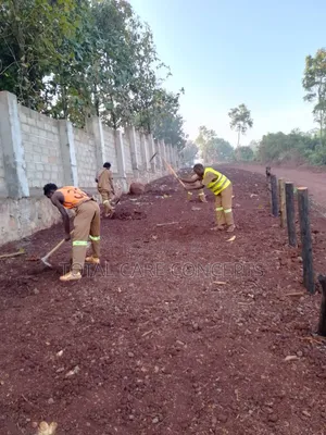 Best Gardening and Planting Services You Need
