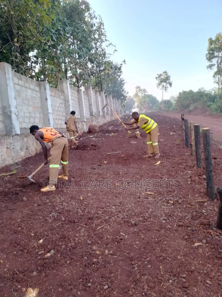 Best Gardening and Planting Services You Need