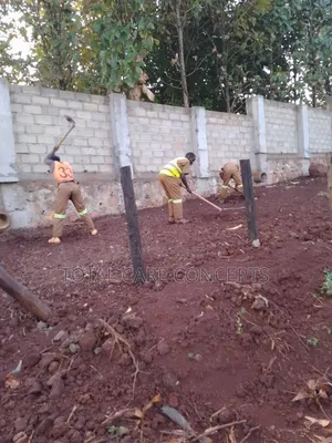 Best Gardening and Planting Services You Need