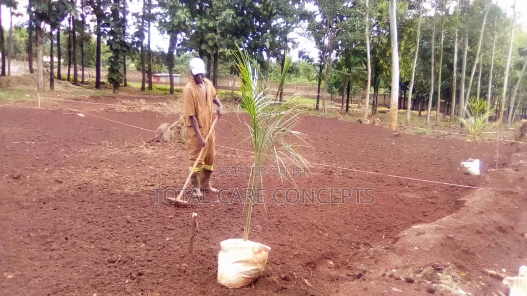 Best Gardening and Planting Services You Need