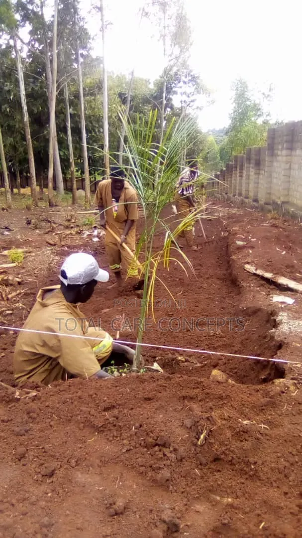 Best Gardening and Planting Services You Need