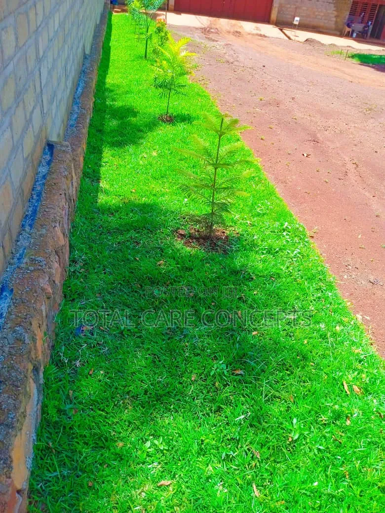 Best Gardening and Planting Services You Need
