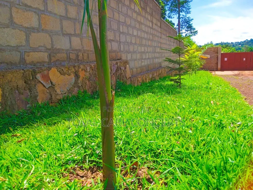 Best Gardening and Planting Services You Need