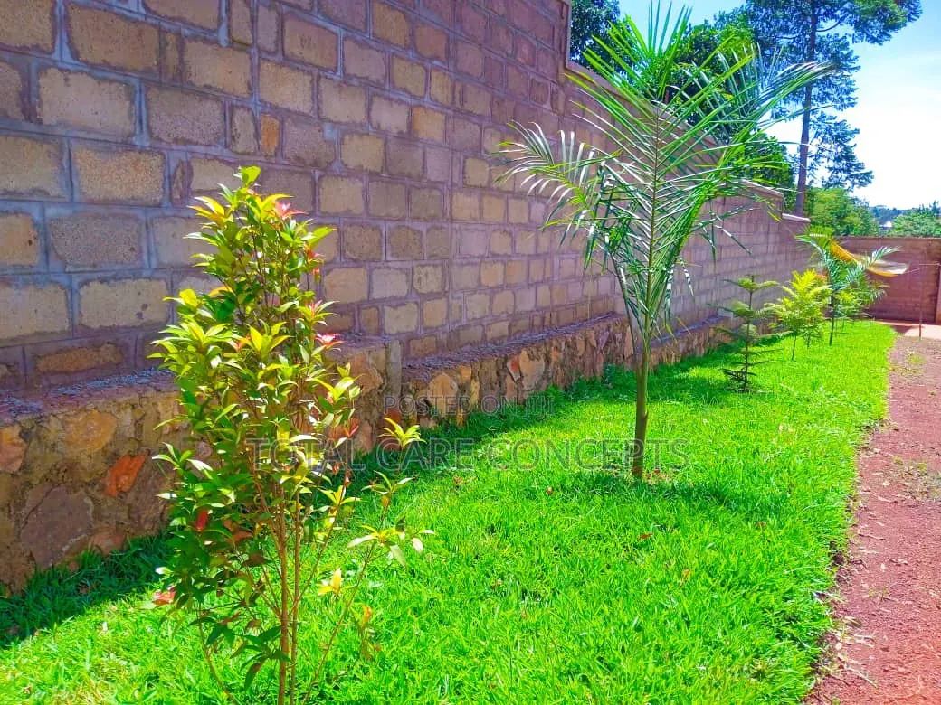 Best Gardening and Planting Services You Need
